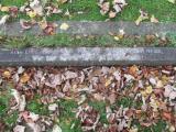 image of grave number 761937